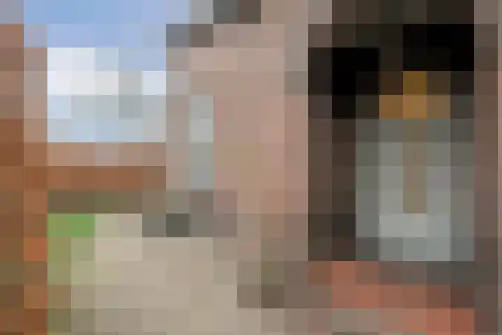 Kastanjelaan 22 Meppel thumbnail 45