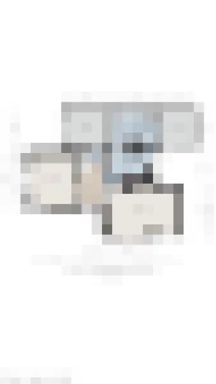 Kastanjelaan 22 Meppel thumbnail 49