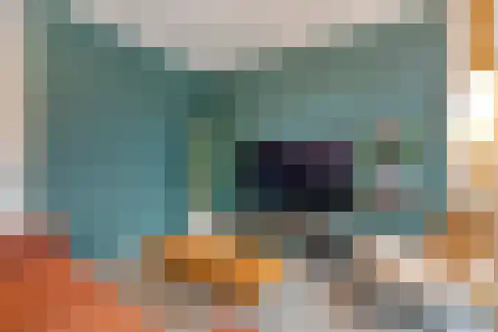 Kastanjelaan 22 Meppel thumbnail 8