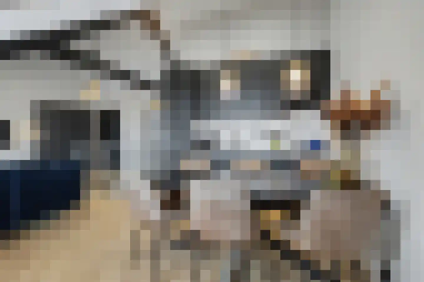 Kastanjelaan 23 3 Arnhem thumbnail 12