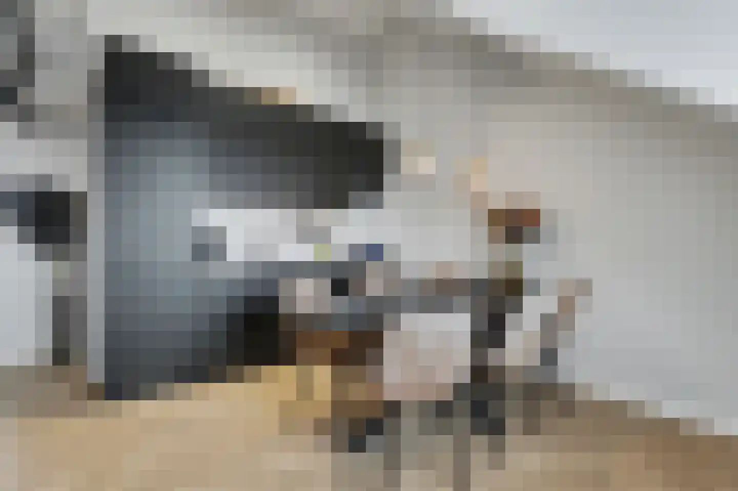 Kastanjelaan 23 3 Arnhem thumbnail 14