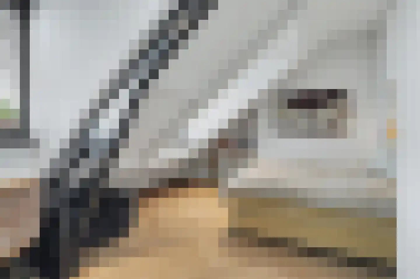 Kastanjelaan 23 3 Arnhem thumbnail 19