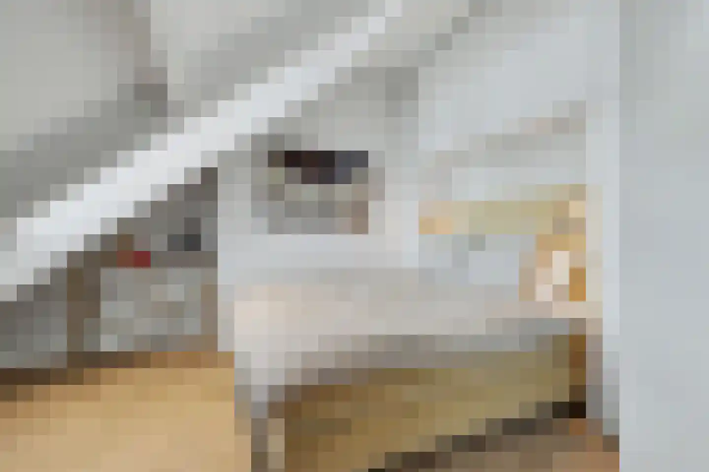 Kastanjelaan 23 3 Arnhem thumbnail 20