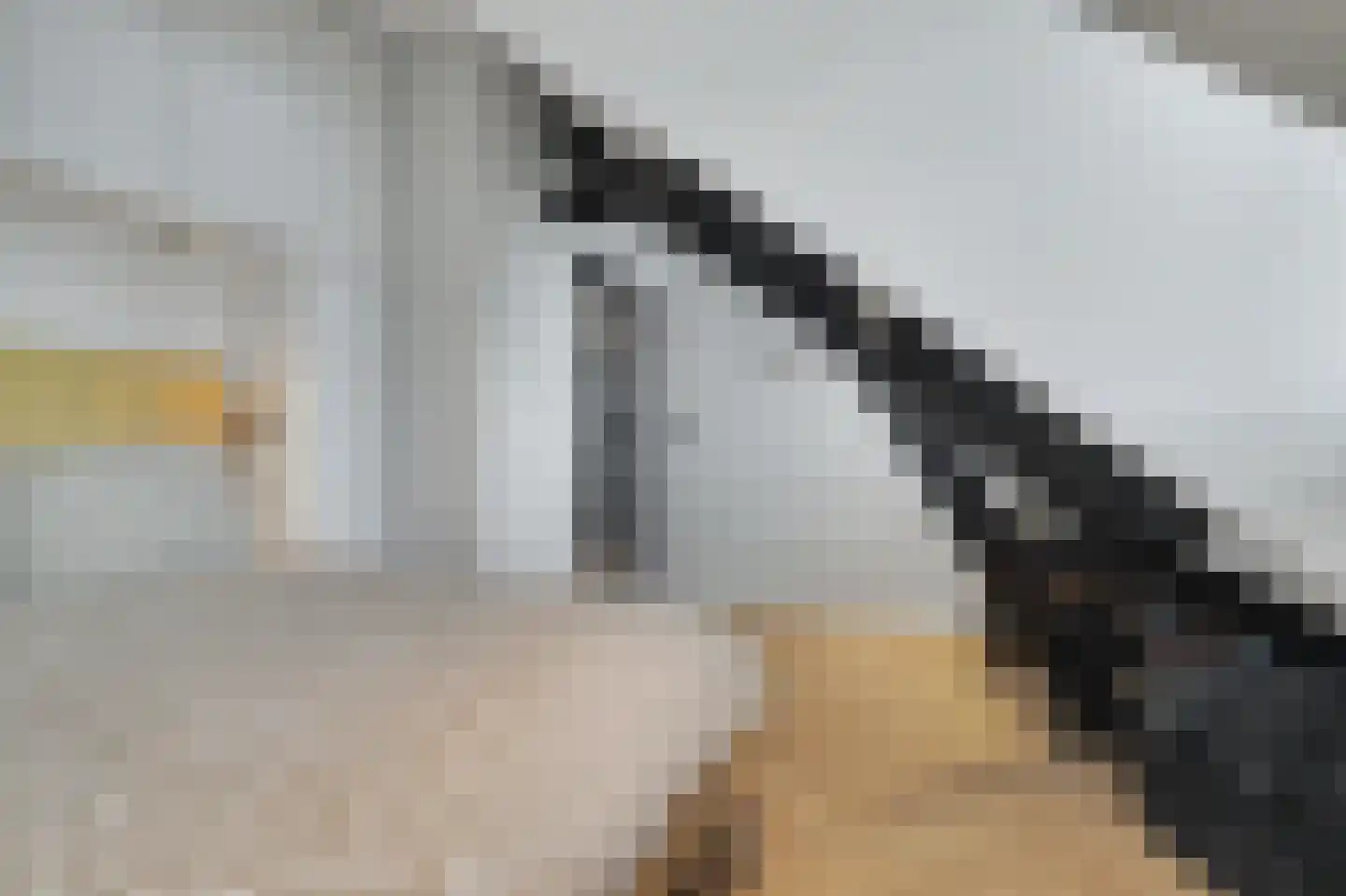 Kastanjelaan 23 3 Arnhem thumbnail 21