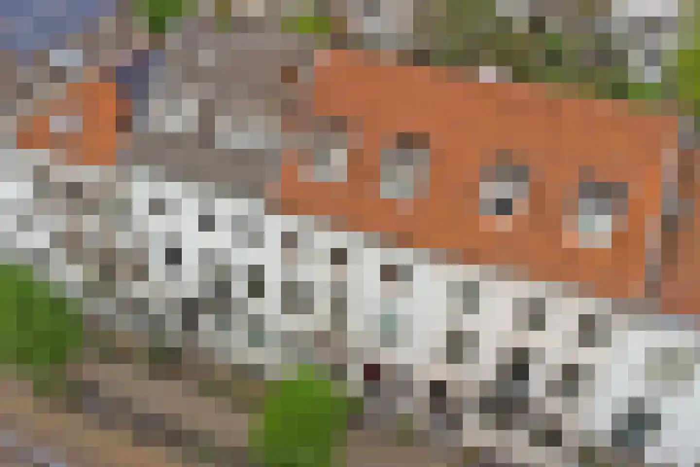 Kastanjelaan 23 3 Arnhem thumbnail 42