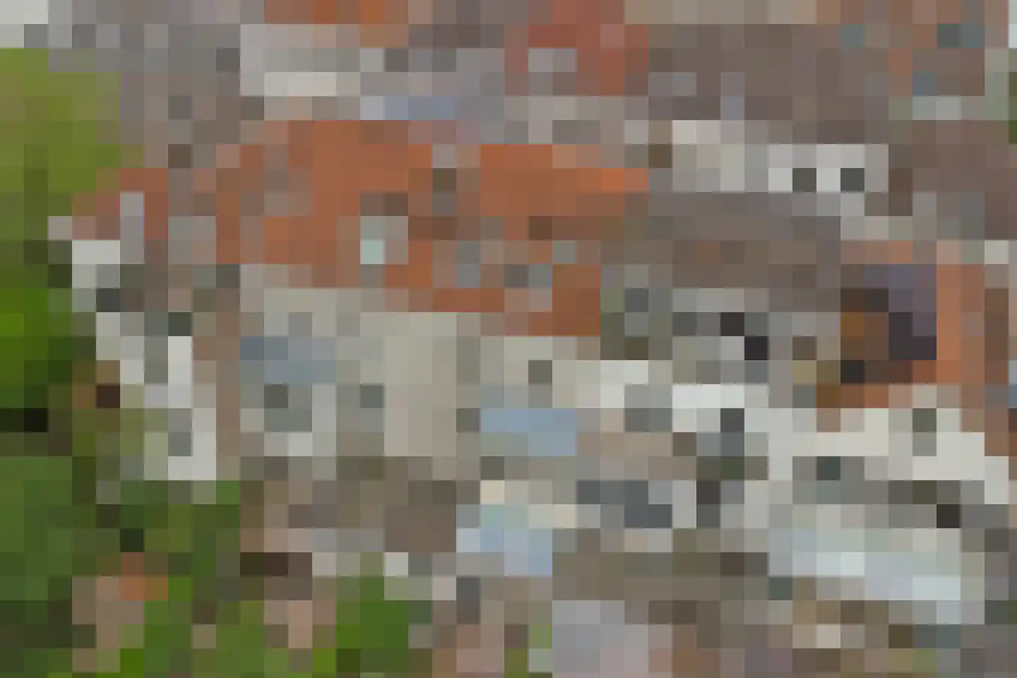 Kastanjelaan 23 3 Arnhem thumbnail 43