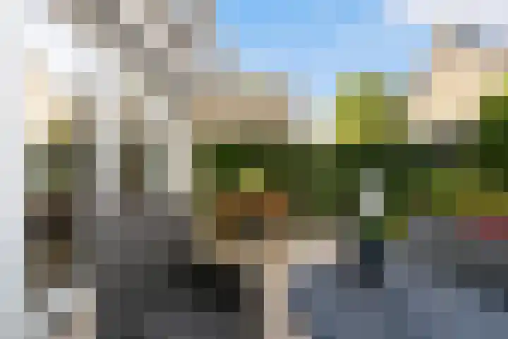 Kastanjelaan 23 Dordrecht thumbnail 19