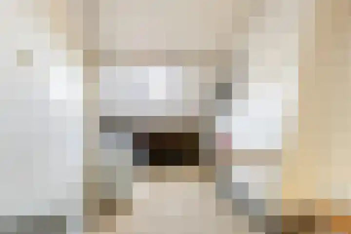 Kastanjelaan 23 Dordrecht thumbnail 33