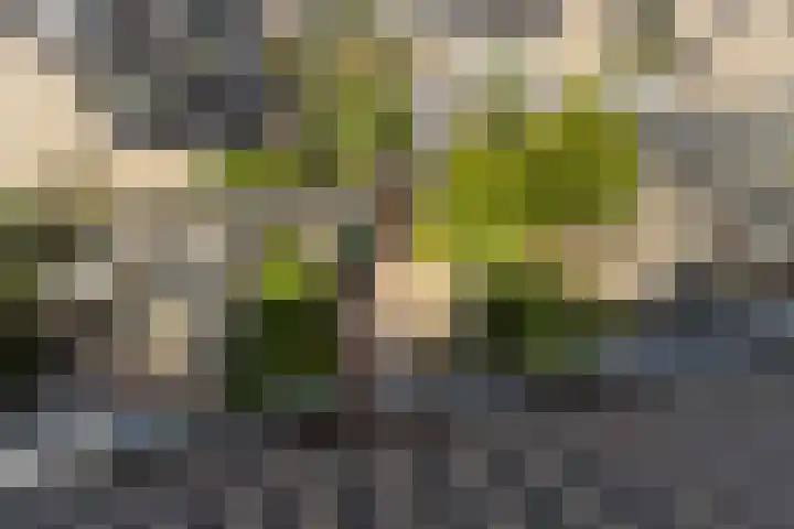 Kastanjelaan 23 Dordrecht thumbnail 37