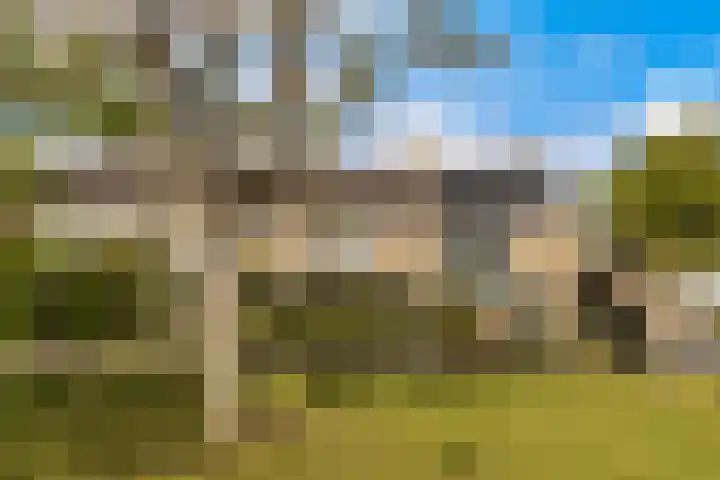 Kastanjelaan 23 Dordrecht thumbnail 4
