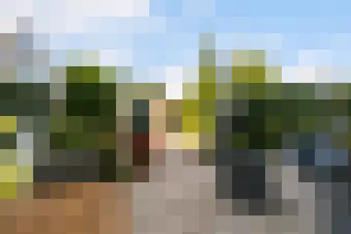 Kastanjelaan 23 Dordrecht thumbnail 40