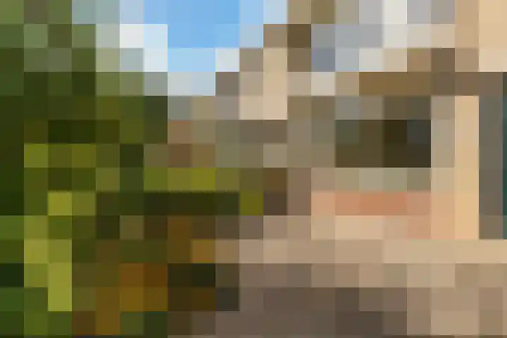 Kastanjelaan 23 Dordrecht thumbnail 6