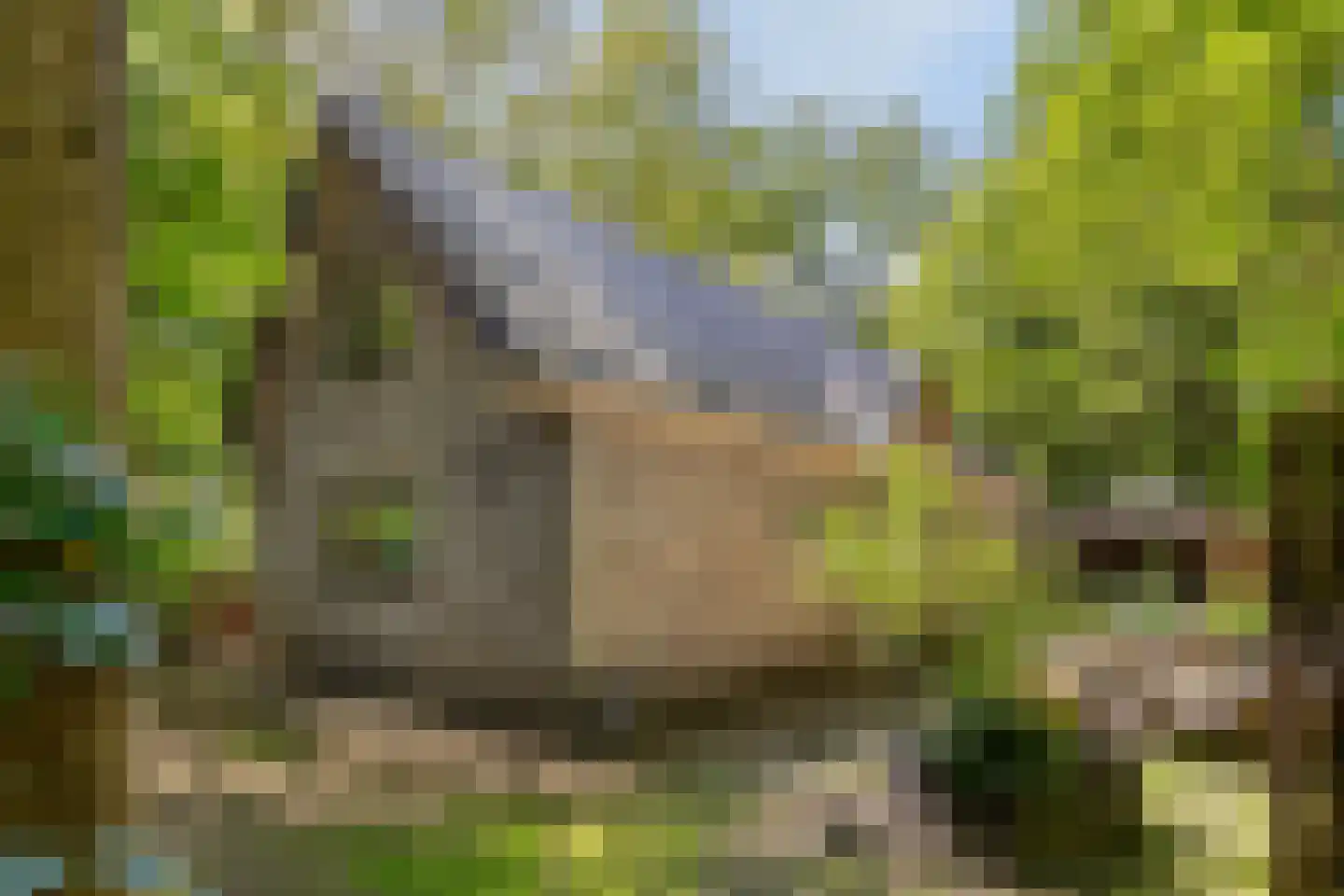 Kastanjelaan 23 Norg