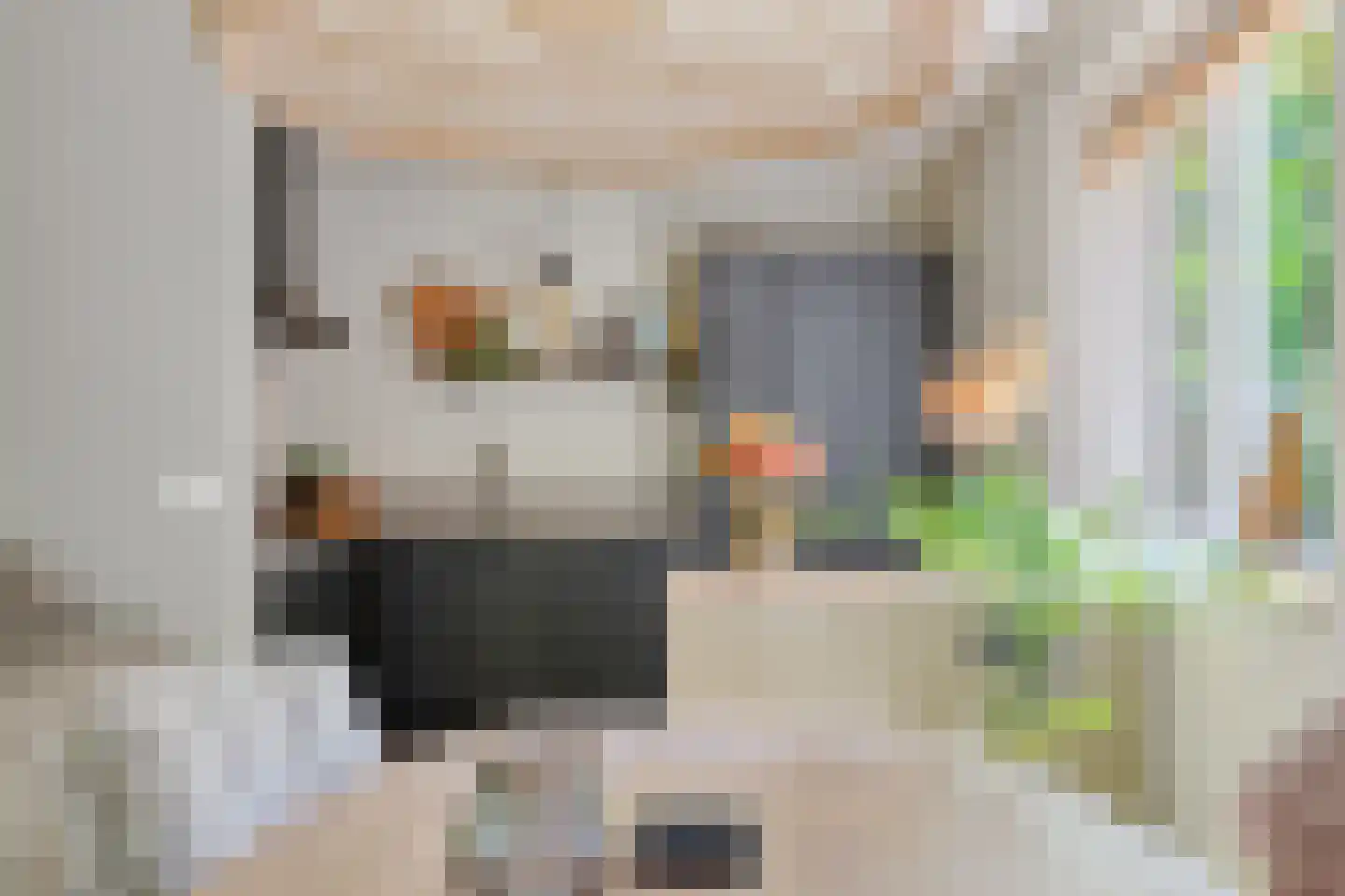 Kastanjelaan 23 Norg thumbnail 13
