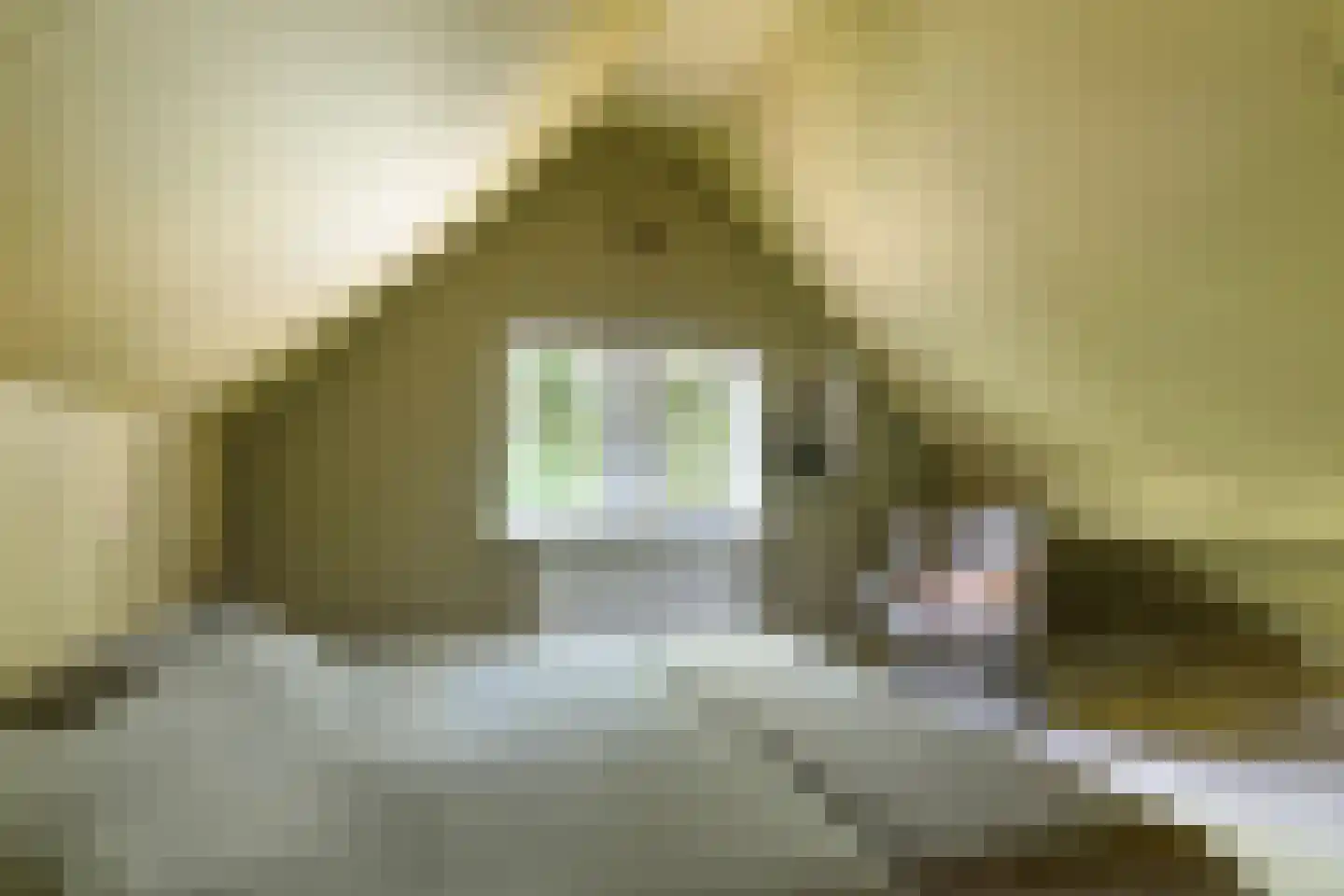 Kastanjelaan 23 Norg thumbnail 19