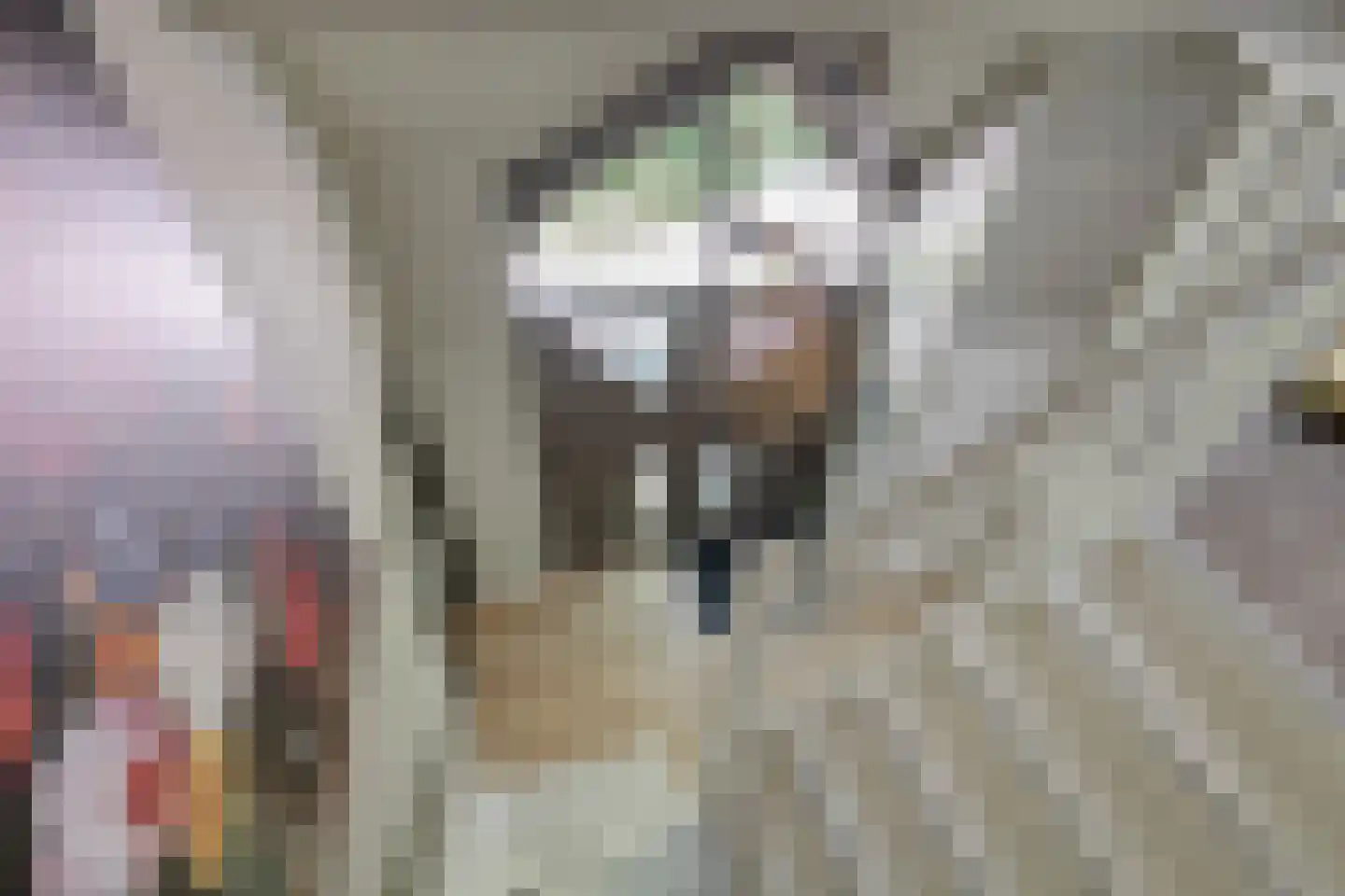 Kastanjelaan 23 Norg foto 2