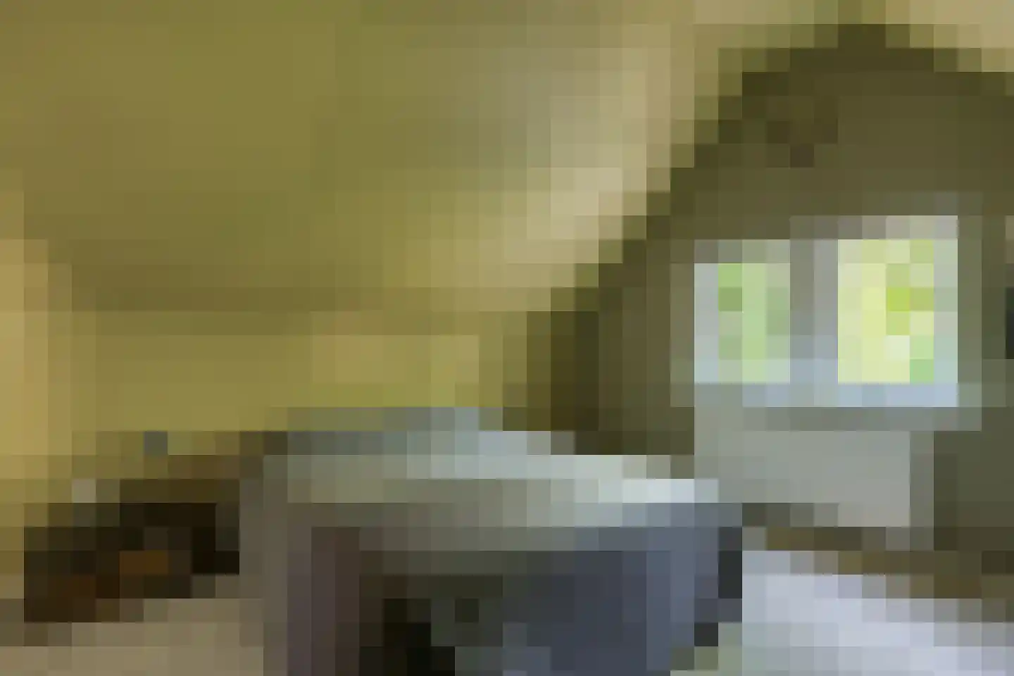 Kastanjelaan 23 Norg thumbnail 20