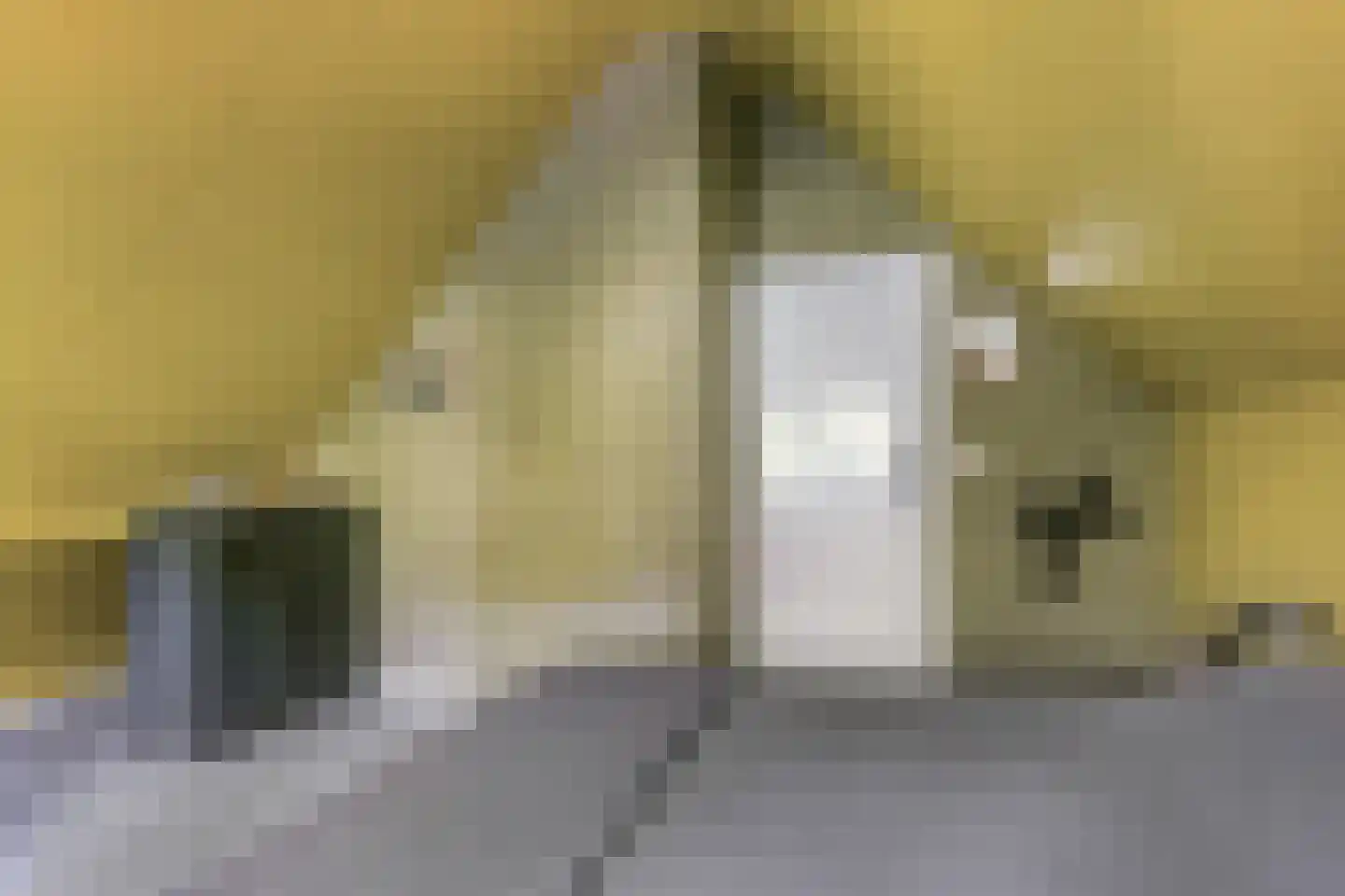Kastanjelaan 23 Norg thumbnail 21