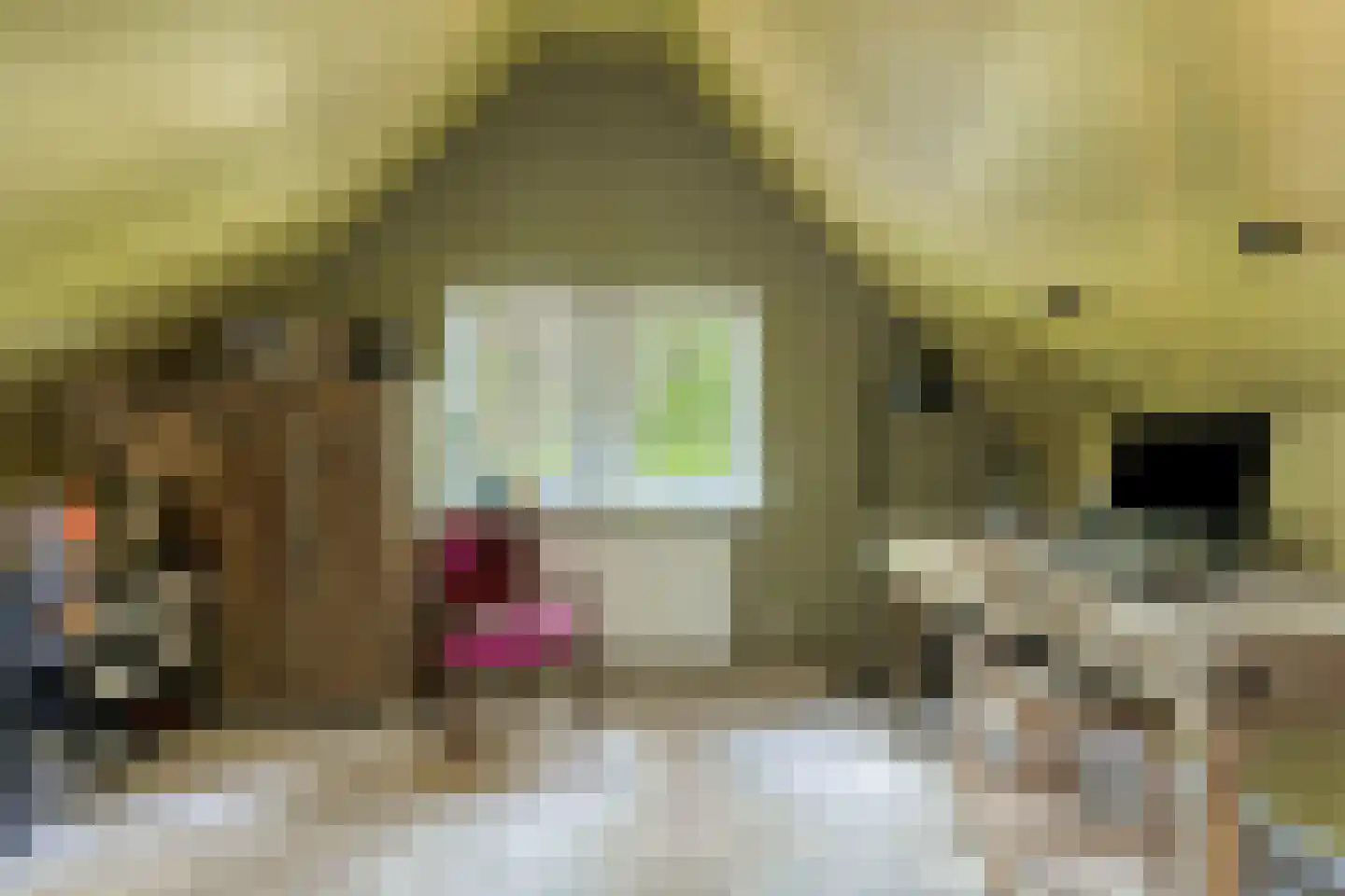 Kastanjelaan 23 Norg thumbnail 22
