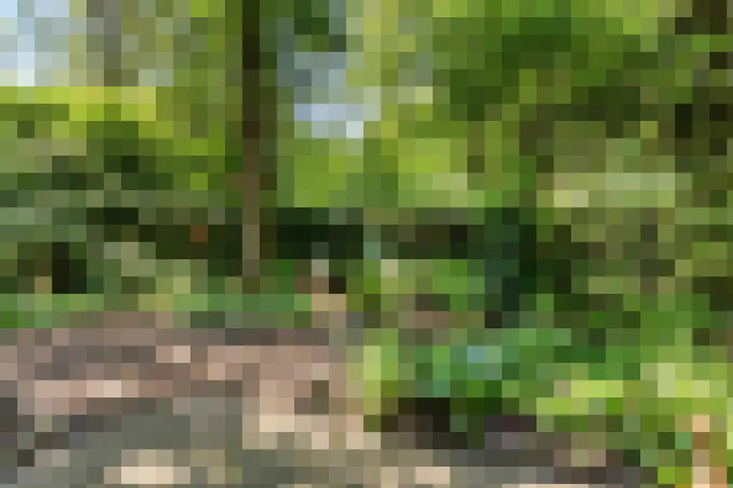 Kastanjelaan 23 Norg thumbnail 24