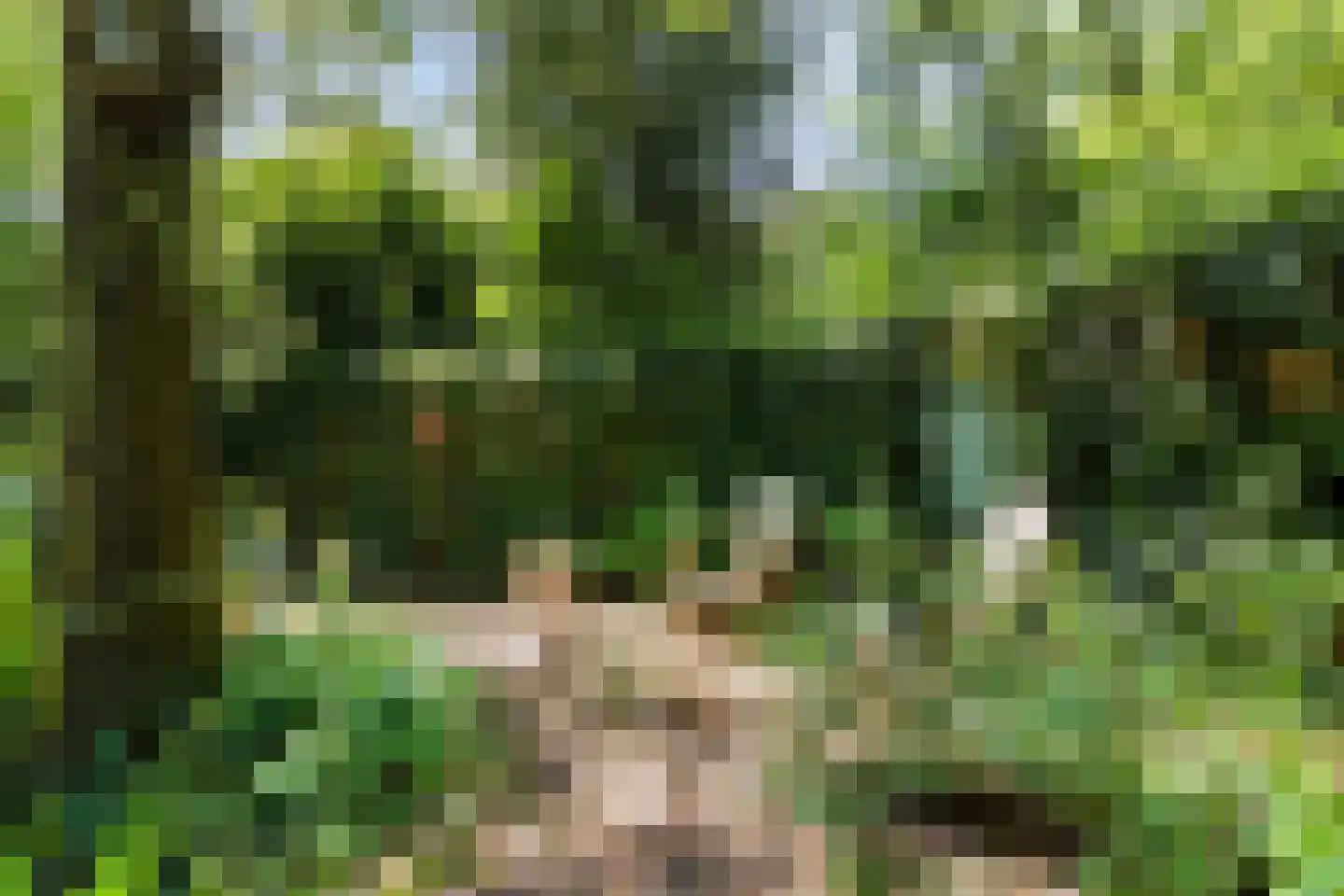 Kastanjelaan 23 Norg thumbnail 25