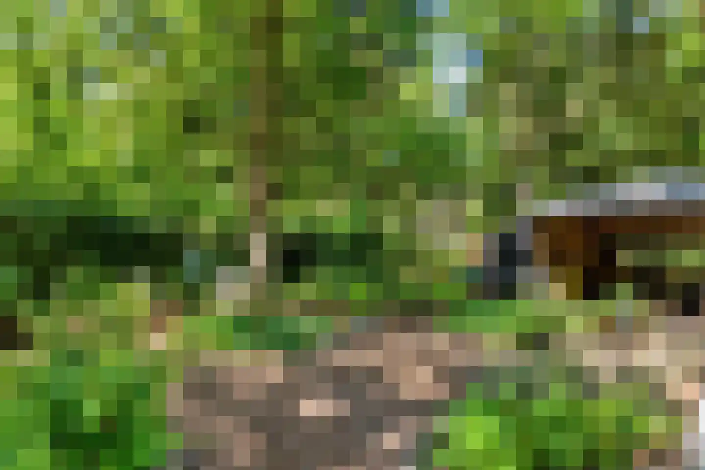 Kastanjelaan 23 Norg thumbnail 26