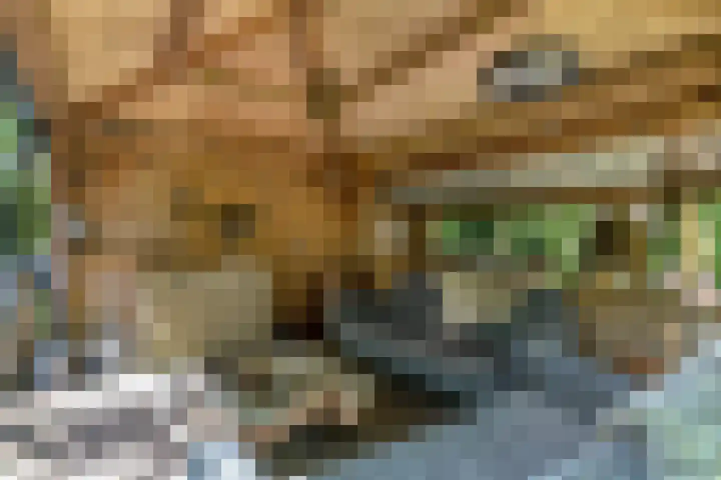 Kastanjelaan 23 Norg thumbnail 28