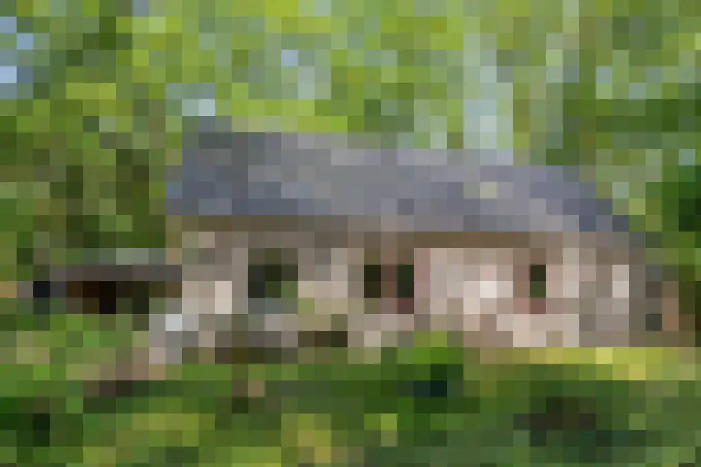 Kastanjelaan 23 Norg thumbnail 29