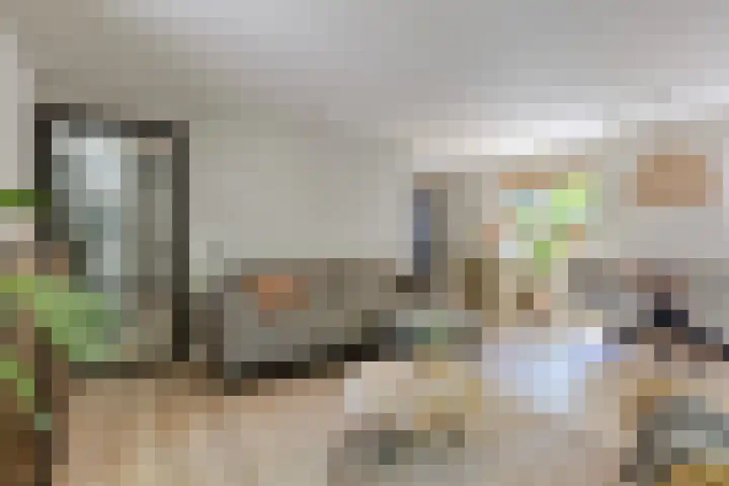 Kastanjelaan 23 Norg foto 3