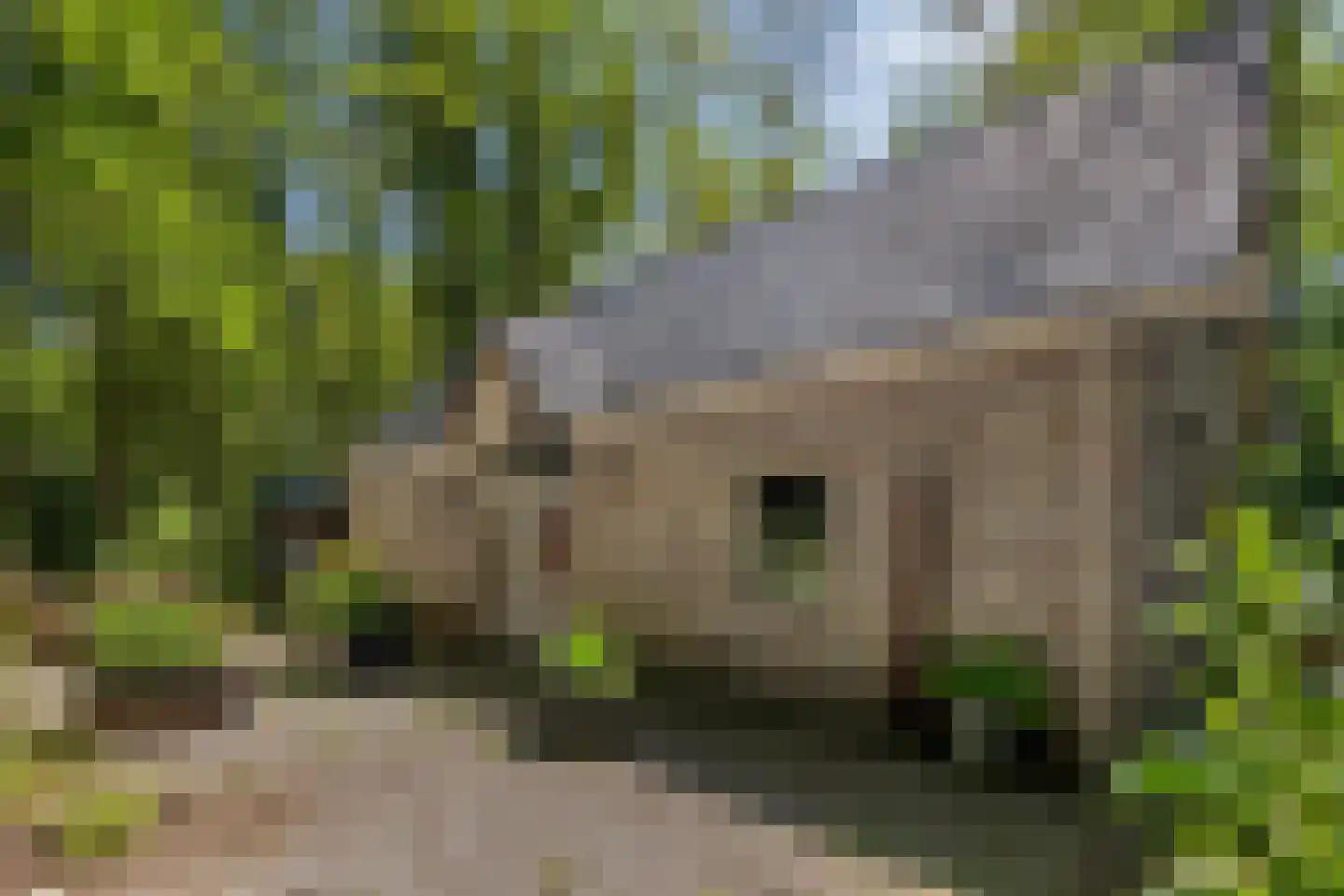 Kastanjelaan 23 Norg thumbnail 30