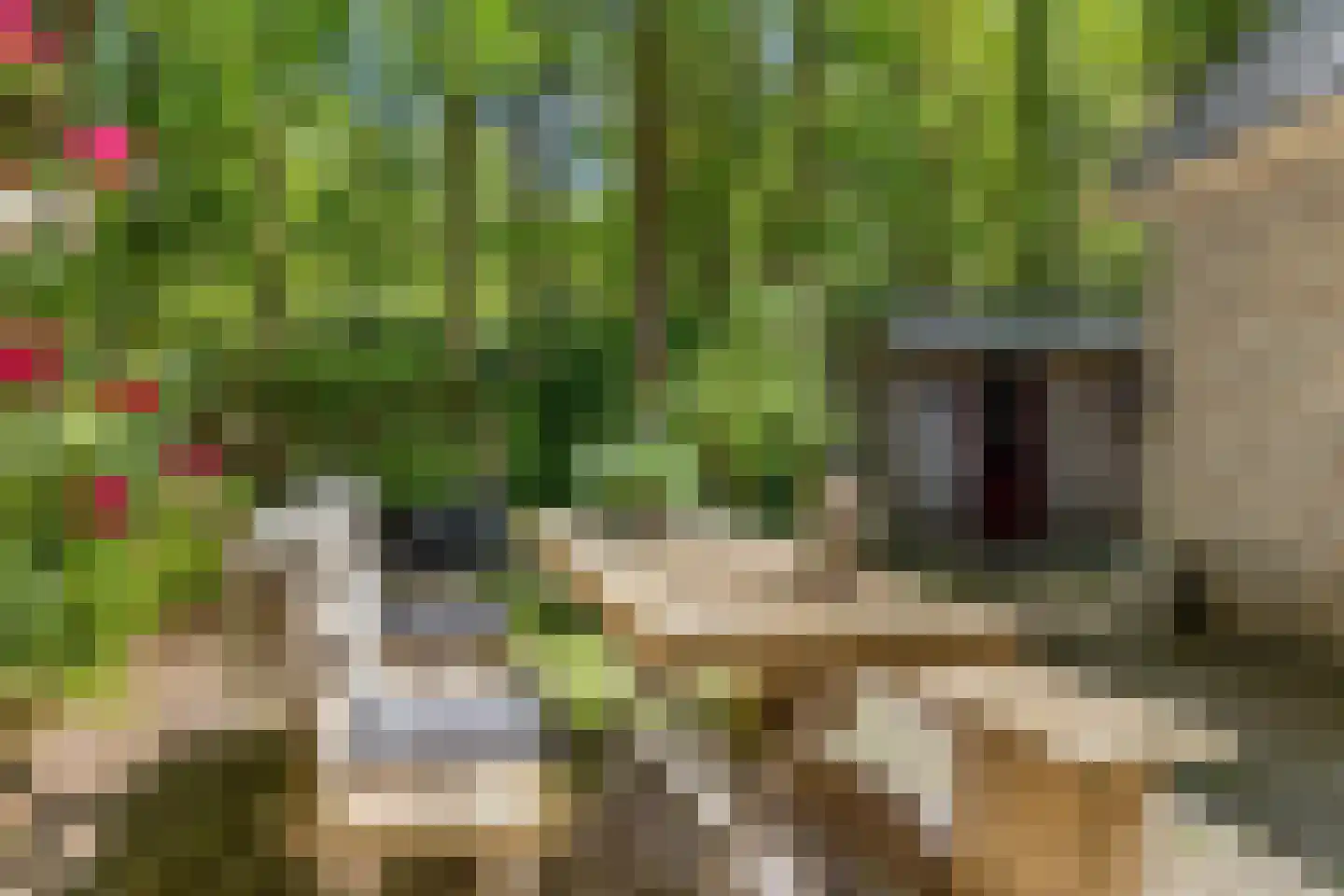 Kastanjelaan 23 Norg thumbnail 31