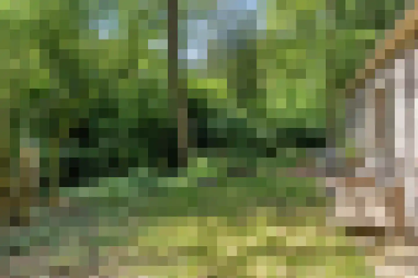 Kastanjelaan 23 Norg thumbnail 33
