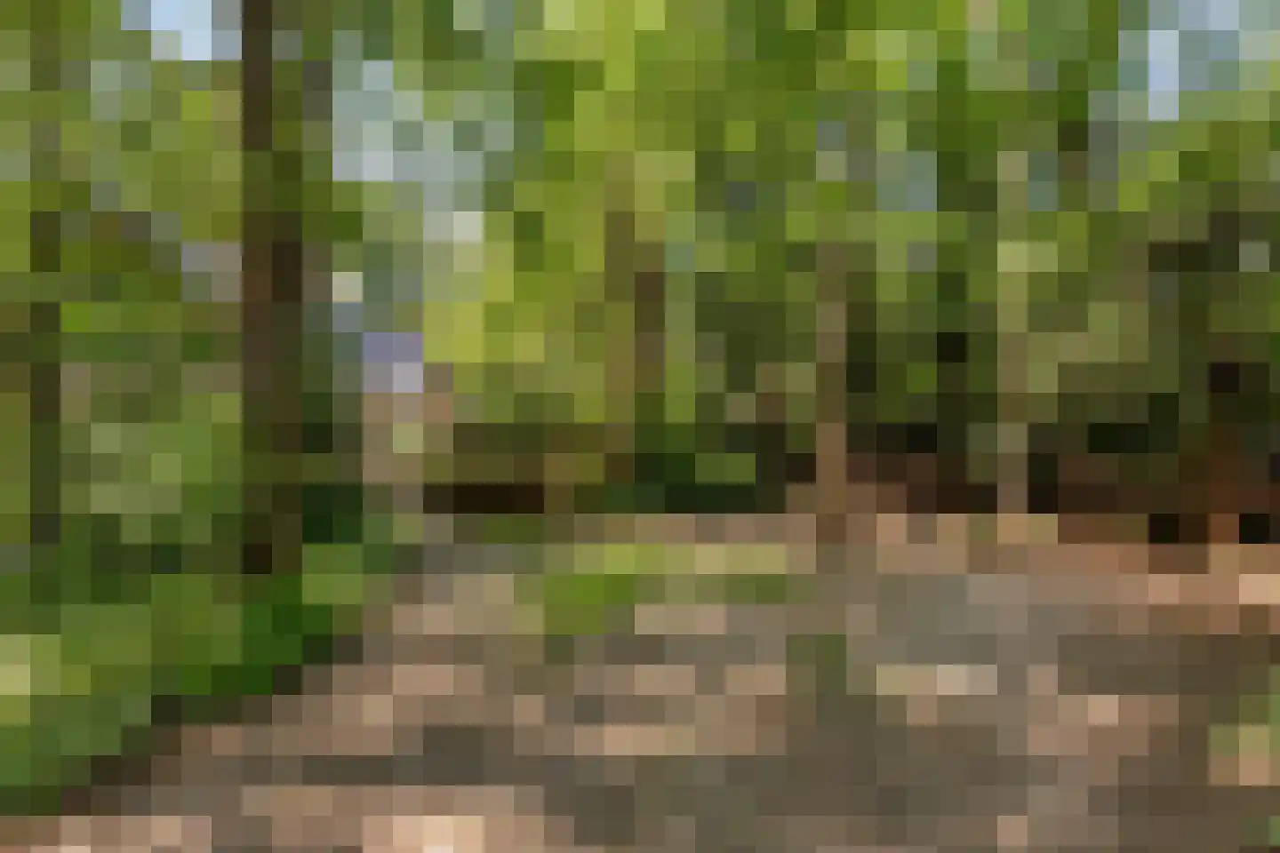 Kastanjelaan 23 Norg thumbnail 35