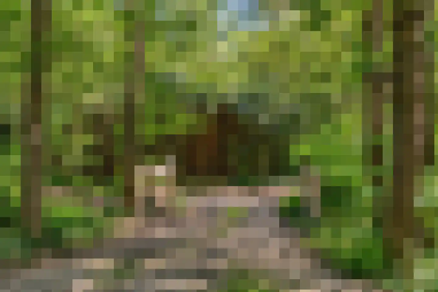 Kastanjelaan 23 Norg thumbnail 36