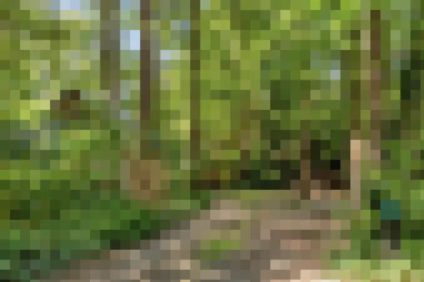 Kastanjelaan 23 Norg thumbnail 37