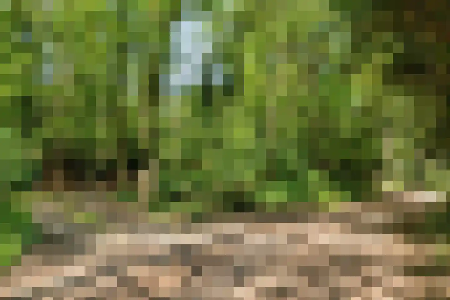 Kastanjelaan 23 Norg thumbnail 38