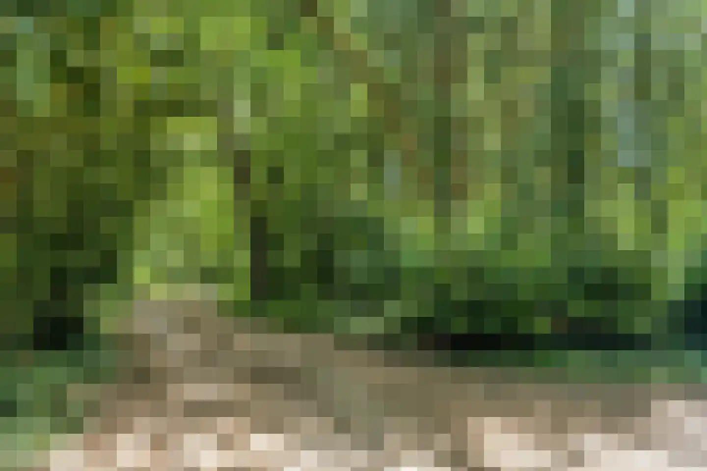 Kastanjelaan 23 Norg thumbnail 39