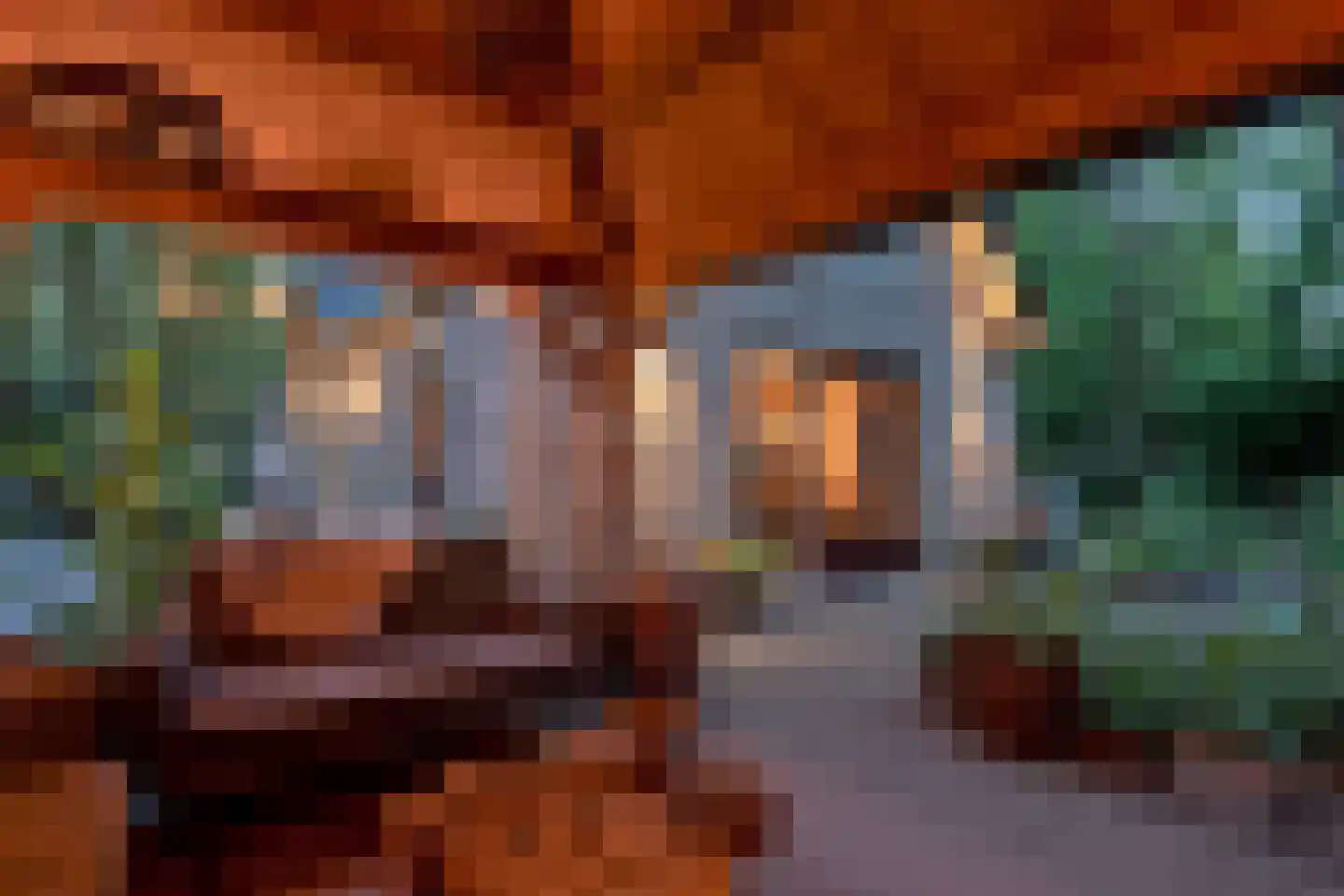 Kastanjelaan 23 Norg thumbnail 42