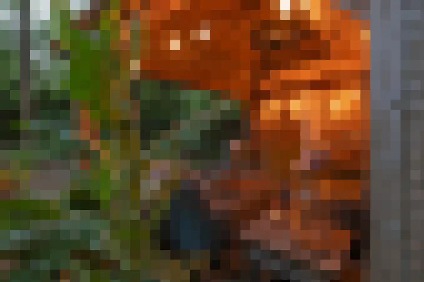 Kastanjelaan 23 Norg thumbnail 43
