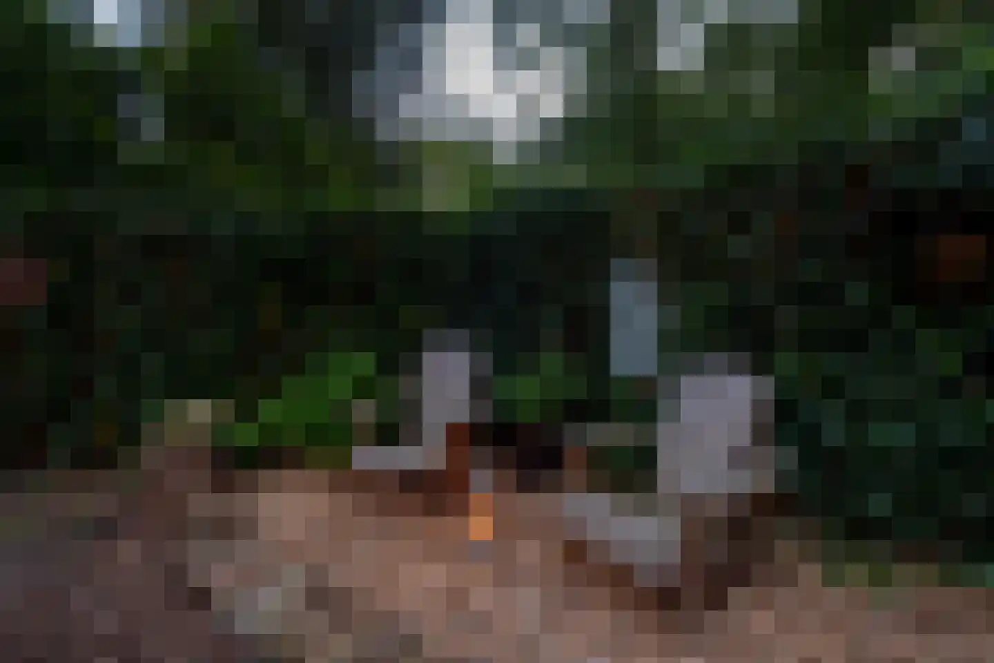 Kastanjelaan 23 Norg thumbnail 47