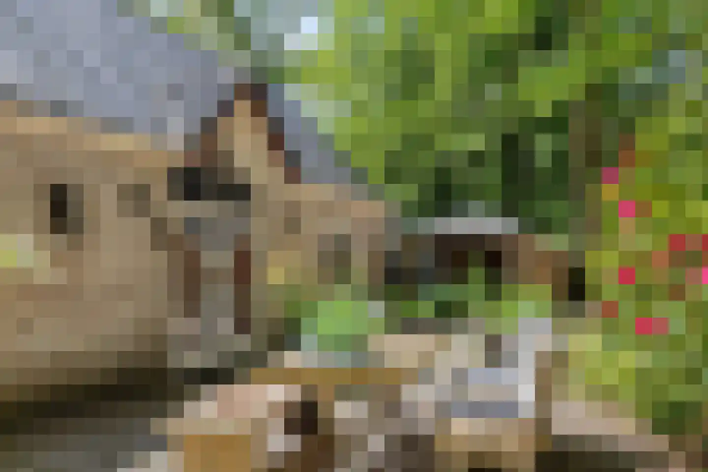 Kastanjelaan 23 Norg thumbnail 5