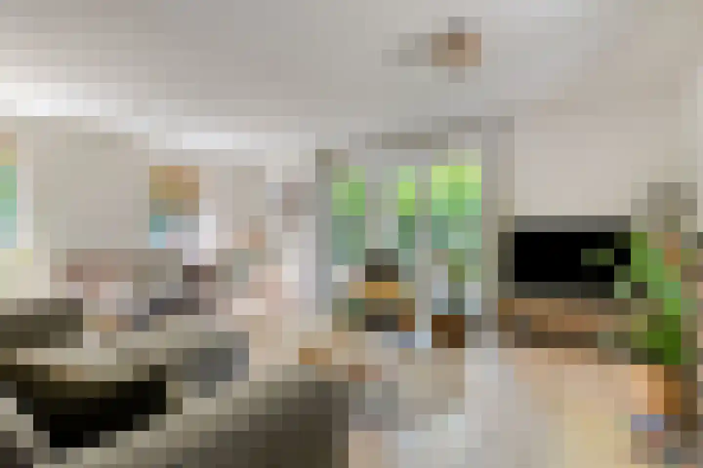 Kastanjelaan 23 Norg thumbnail 8