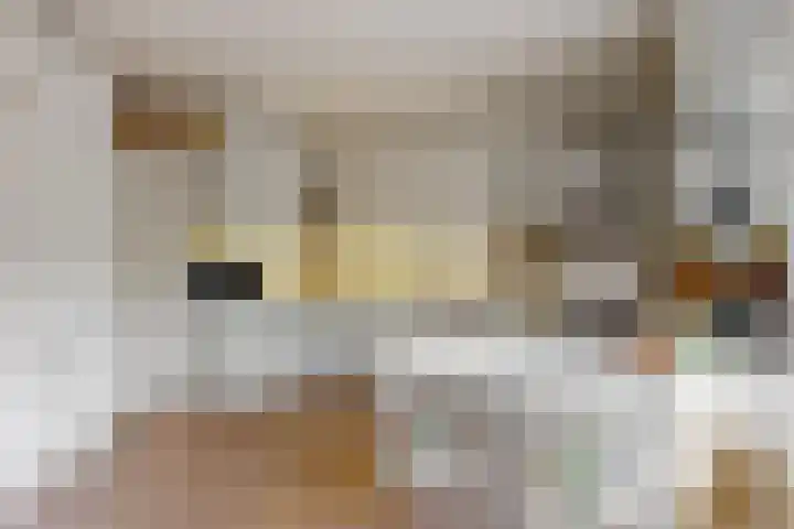 Kastanjelaan 239 Amstelveen thumbnail 13