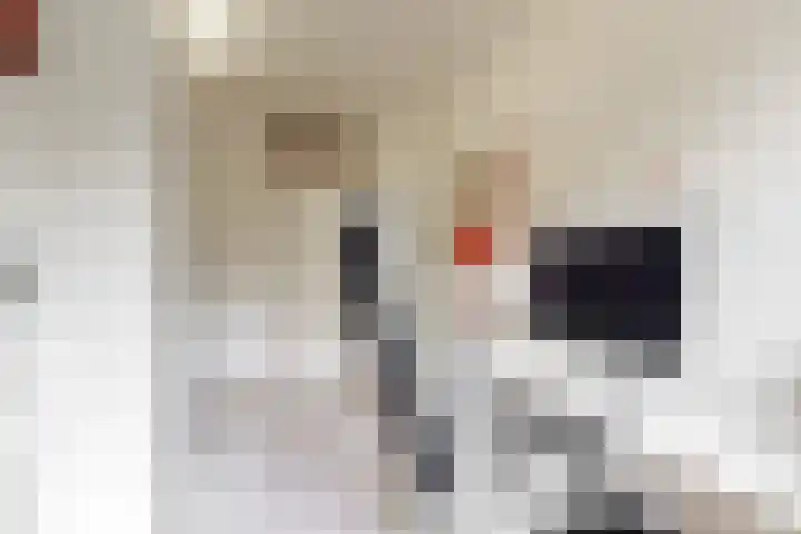 Kastanjelaan 239 Amstelveen thumbnail 20