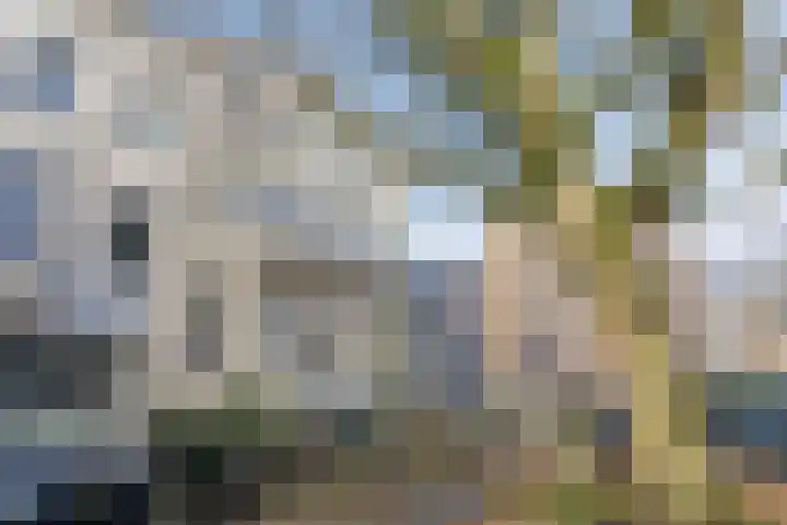 Kastanjelaan 24 2 Arnhem thumbnail 24