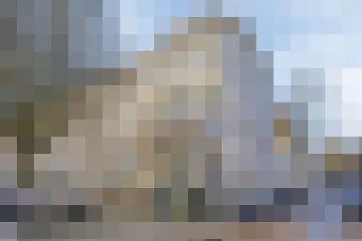 Kastanjelaan 24 2 Arnhem thumbnail 28