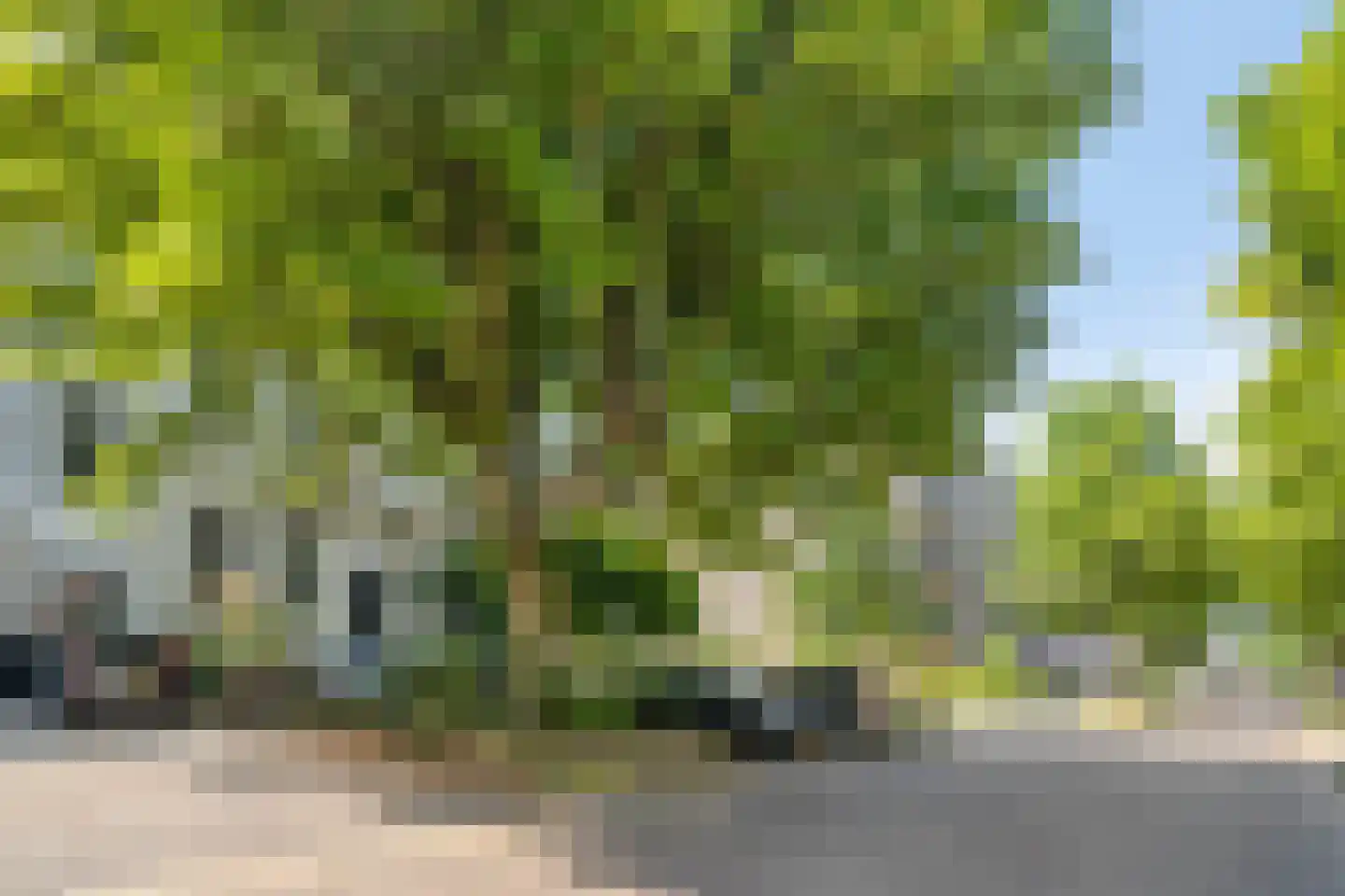 Kastanjelaan 24 4 Arnhem thumbnail 5