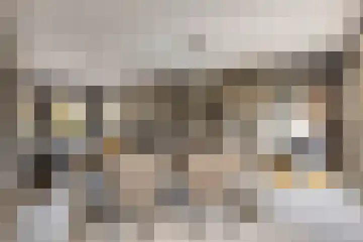 Kastanjelaan 24 Halsteren thumbnail 10
