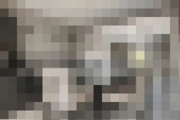 Kastanjelaan 24 Halsteren thumbnail 11