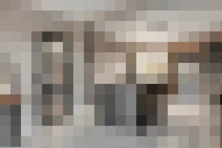 Kastanjelaan 24 Halsteren thumbnail 12